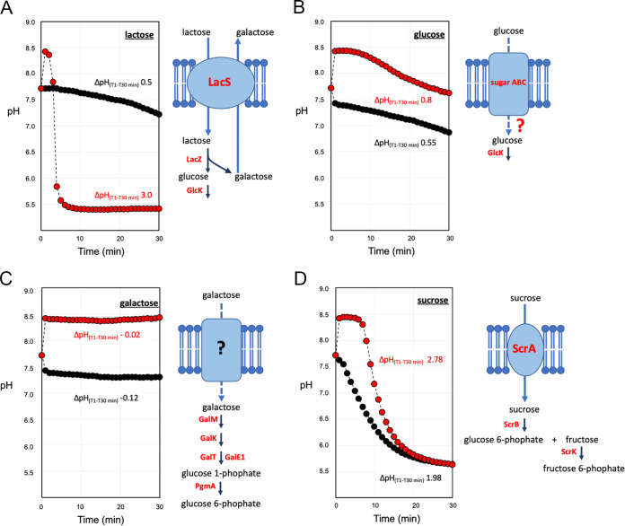 FIG 3