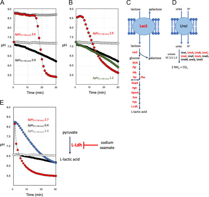 FIG 2