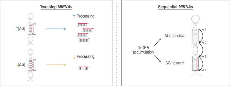 Graphical Abstract