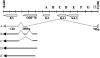 FIG. 5.
