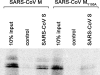 FIG. 9.
