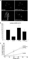 FIG. 8.