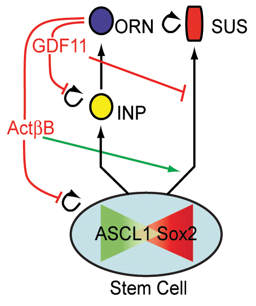 Fig. 8.