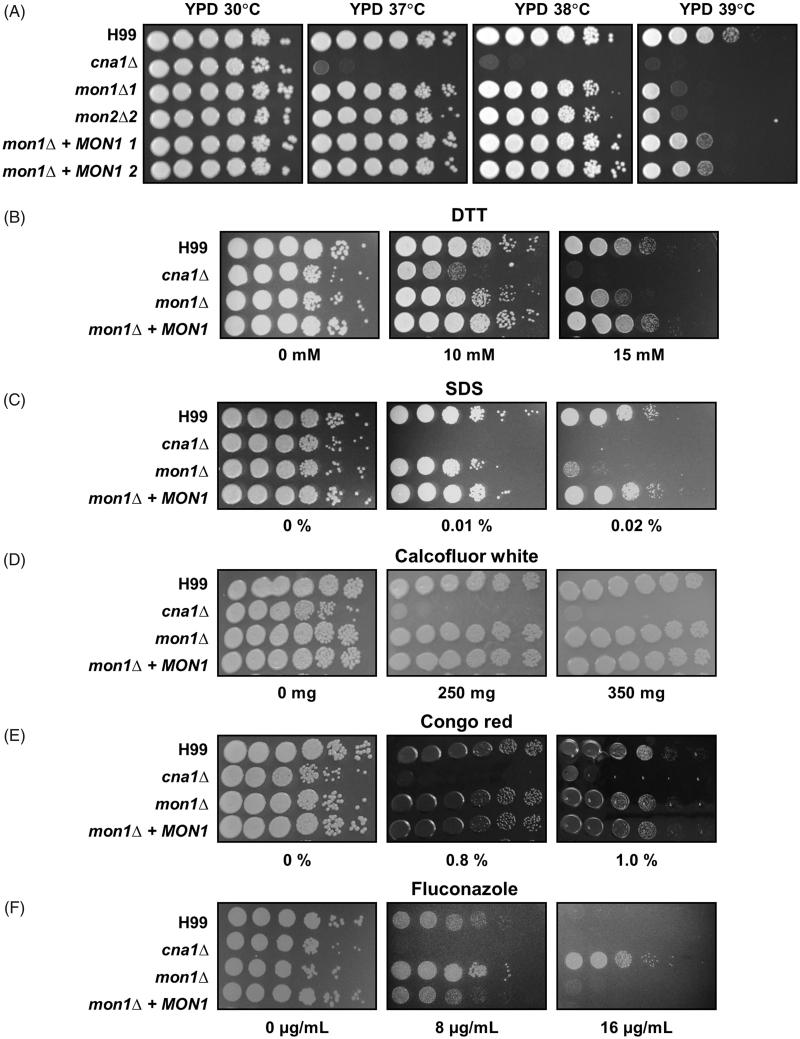 Figure 2.