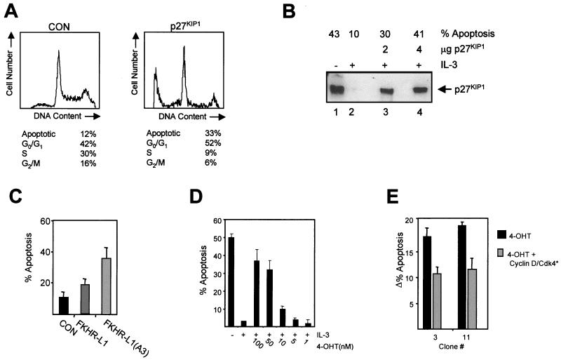 FIG. 6