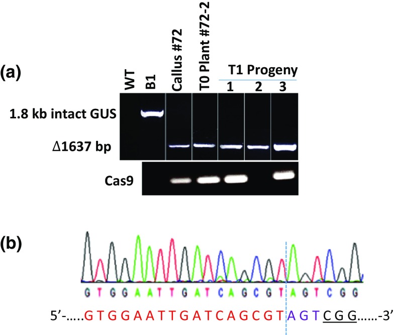 Fig. 2