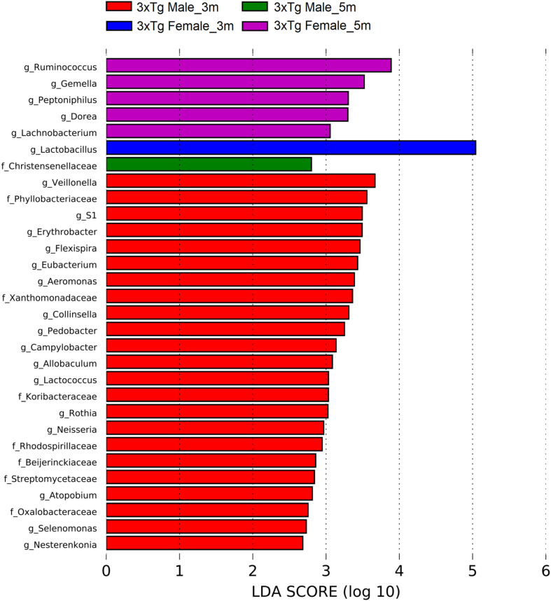 FIGURE 13