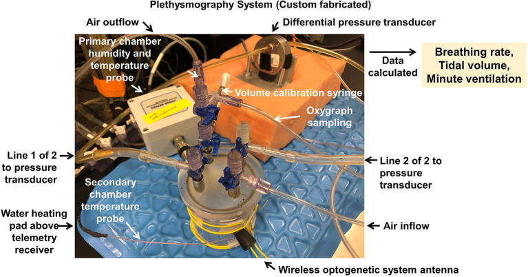 Figure 12