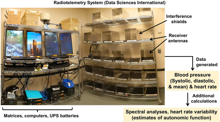 Figure 13