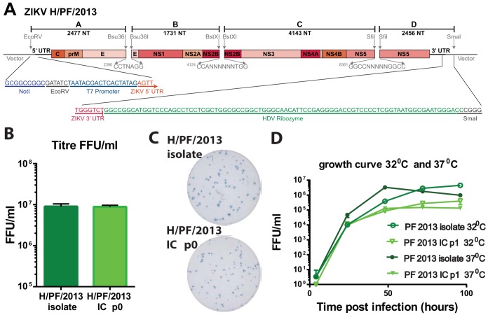 FIG 2 