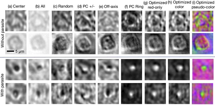 Fig. 6.