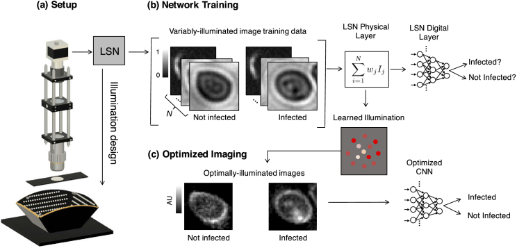 Fig. 1.