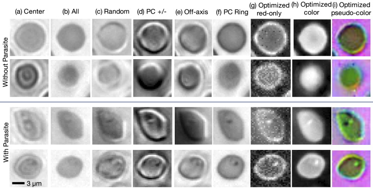 Fig. 4.