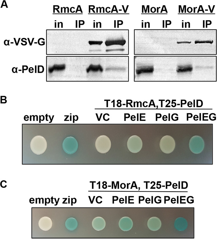 FIG 6