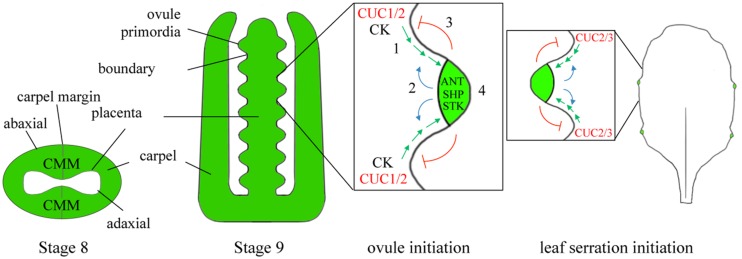 FIGURE 3