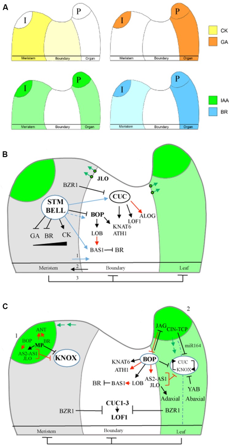 FIGURE 2