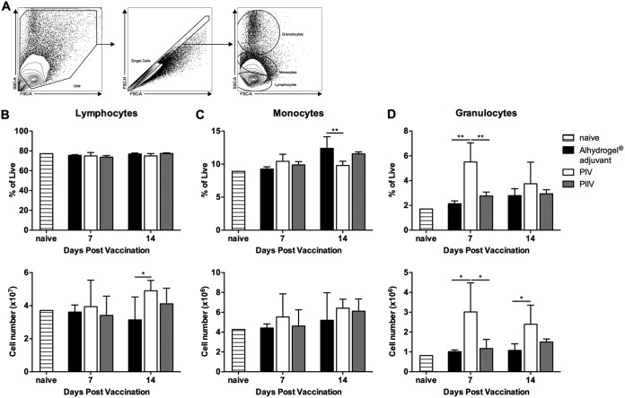 FIG 3