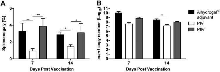 FIG 2