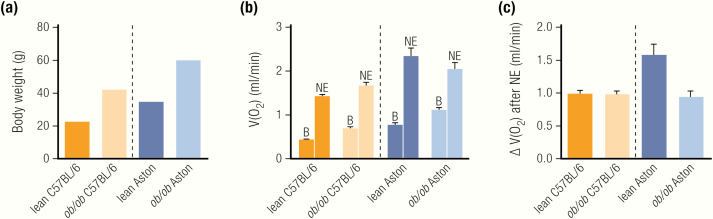 Figure 5.