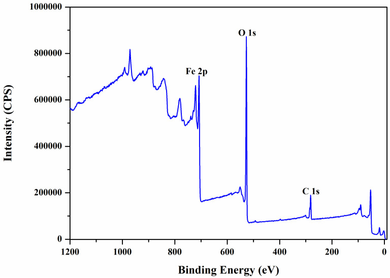 In Vitro Superparamagnetic Hyperthermia Employing Magnetite Gamma