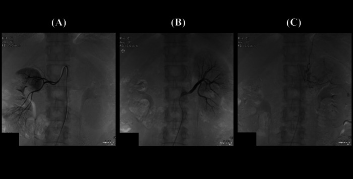 Figure 2