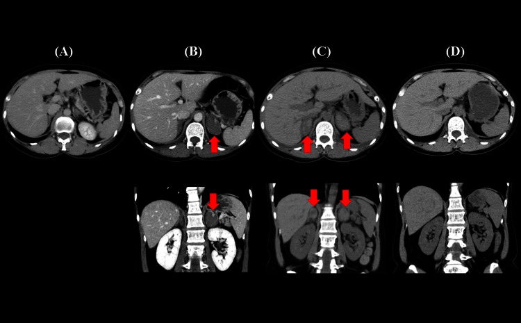 Figure 1