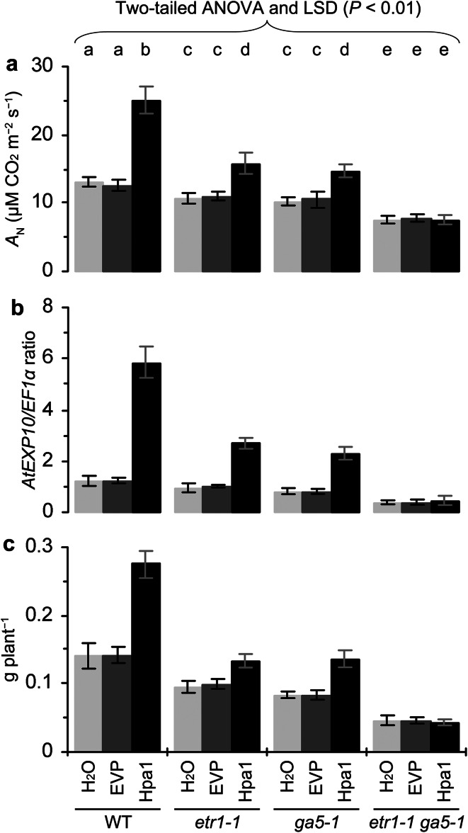 Fig. 9