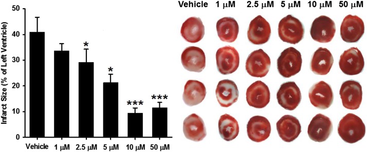 Fig. 10.