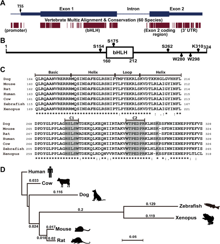 Fig. 1