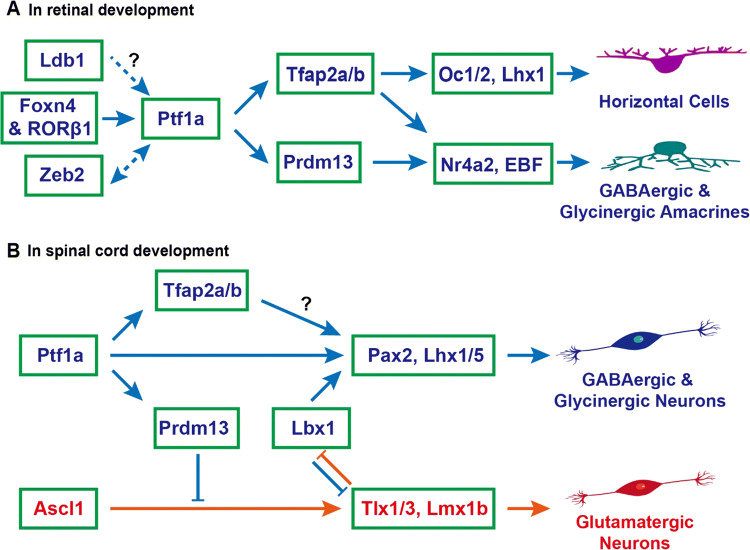 Fig. 4