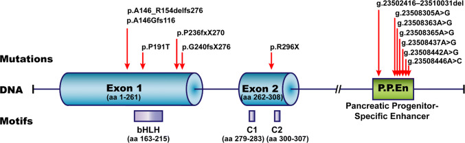 Fig. 6