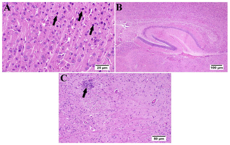 Figure 9