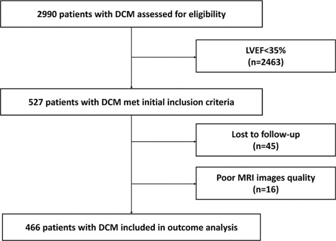 Flowchart shows patient inclusion. DCM = dilated cardiomyopathy, LVEF = left ventricular ejection fraction.