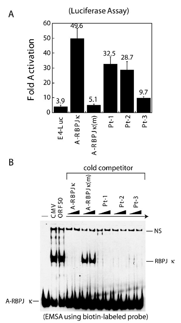 Fig. 8