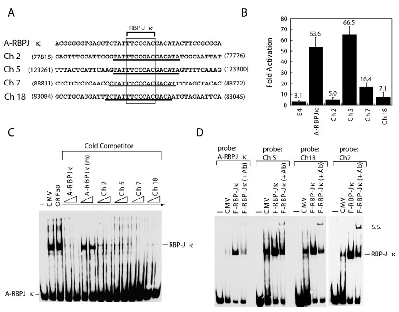 Fig. 9