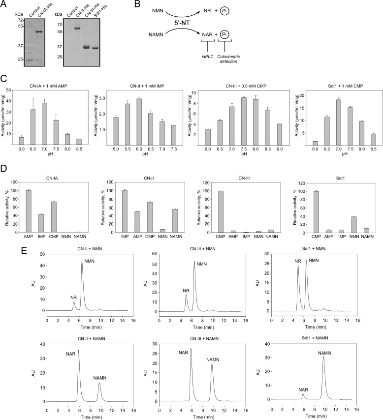 FIGURE 3.