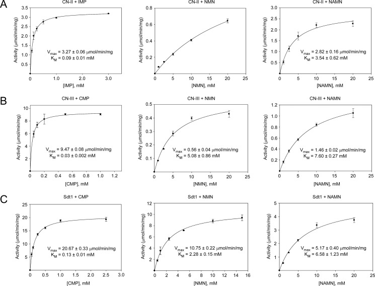 FIGURE 4.