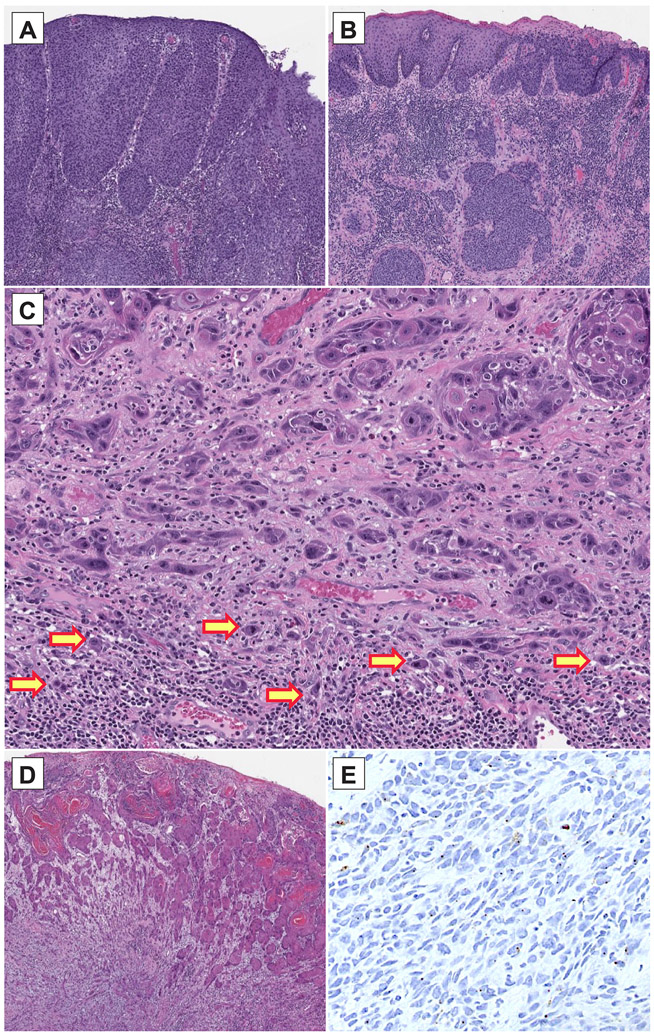 Figure 1 –