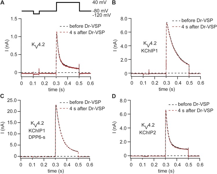 Figure 7.