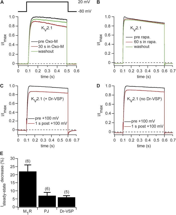 Figure 5.