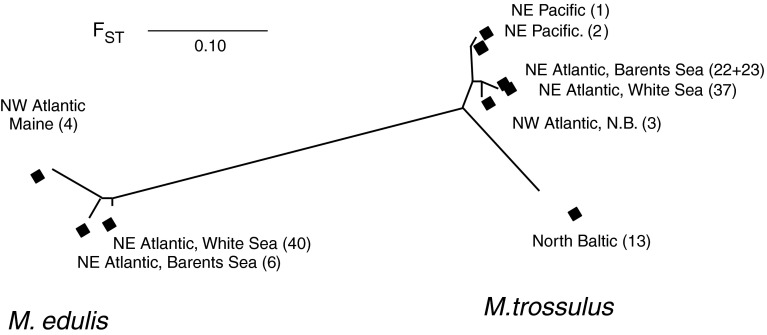 Fig. 7