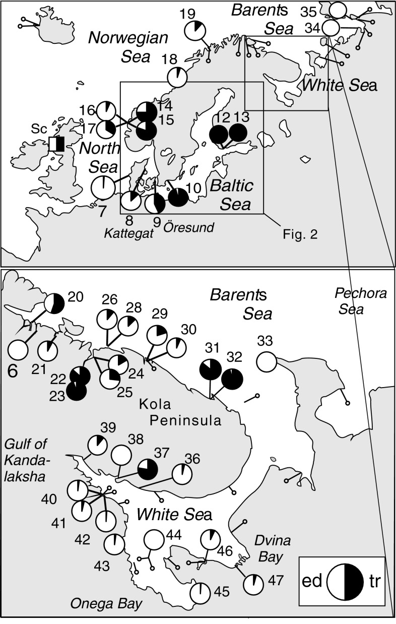 Fig. 1