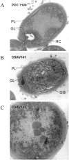 FIG. 1.