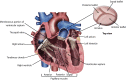 Fig. (3)