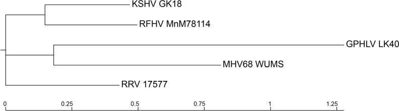 Fig. 4