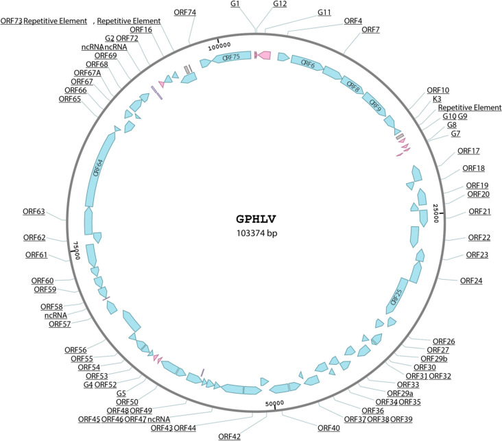 Fig. 3