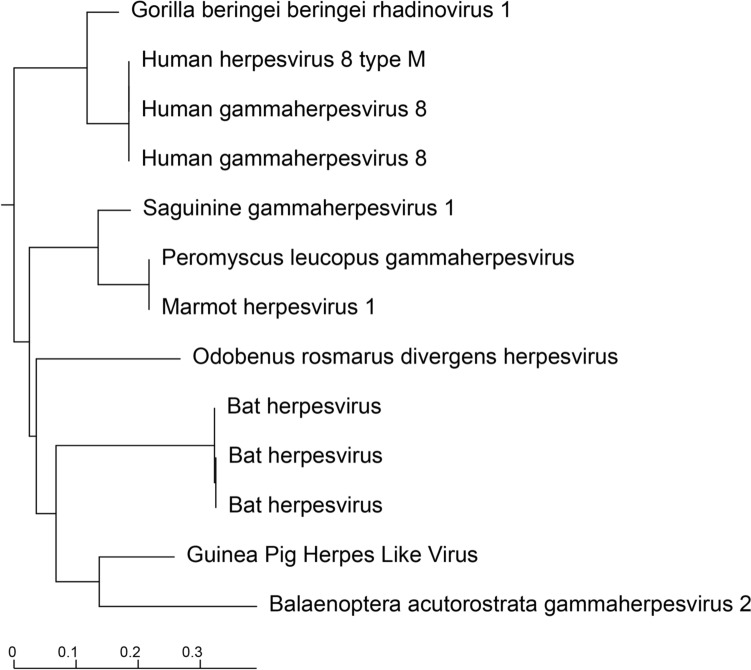 Fig. 1