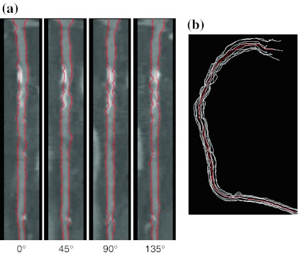 Fig. 6