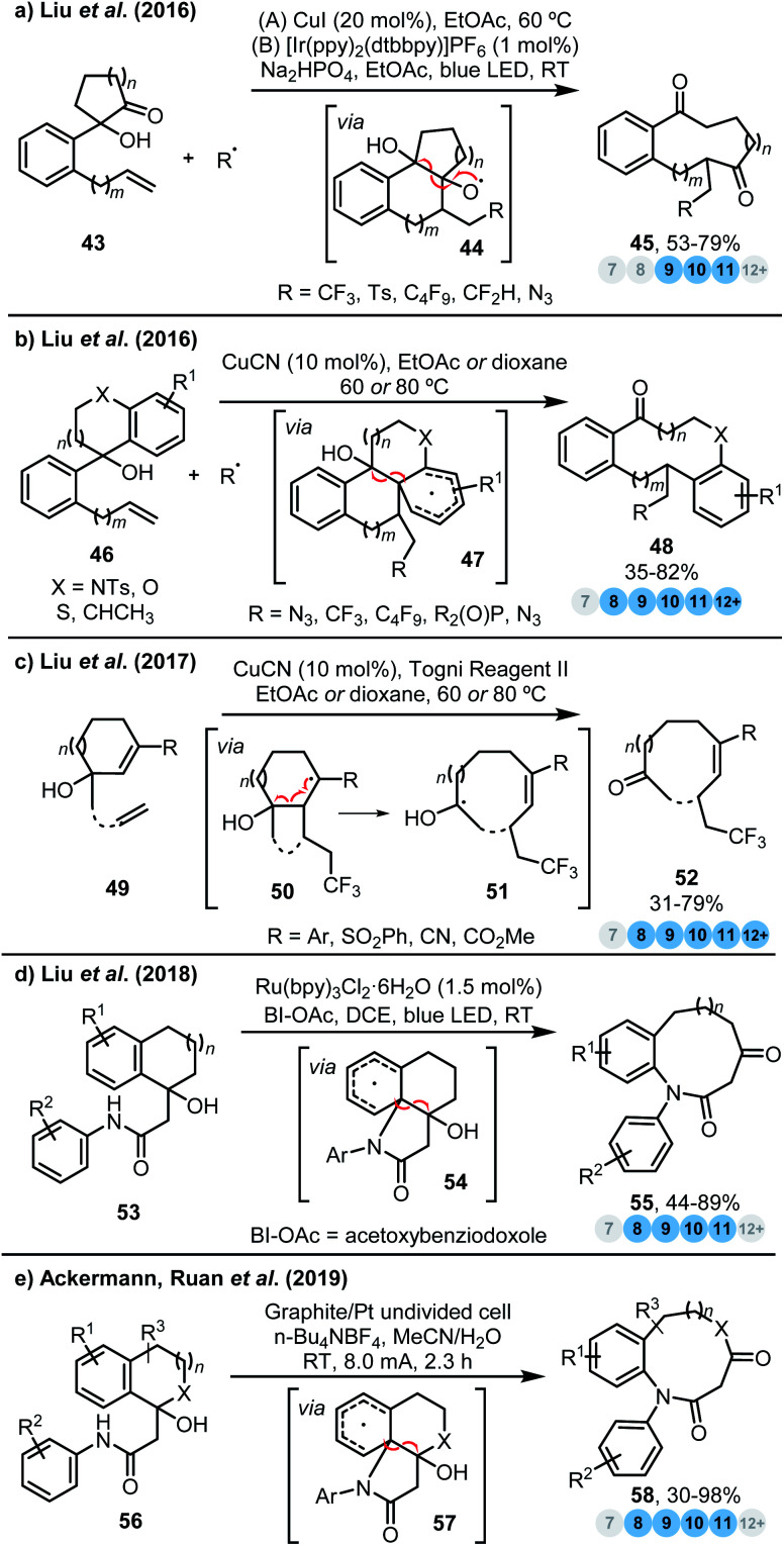 Scheme 5