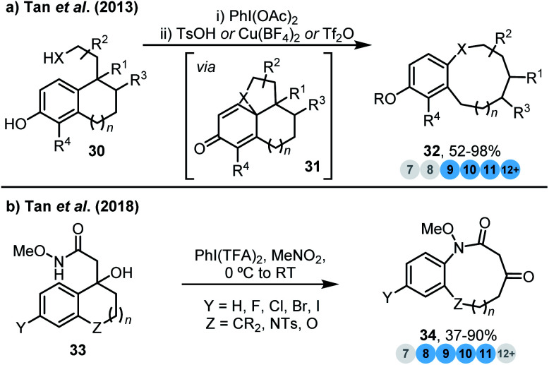 Scheme 3